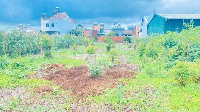 Đất víp mặt tiền Trần Bình Trọng, trung tâm đức trọng, lâm đồng