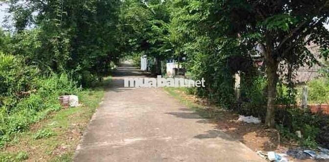 mặt tiền khu dân cư liên ấp 2-3