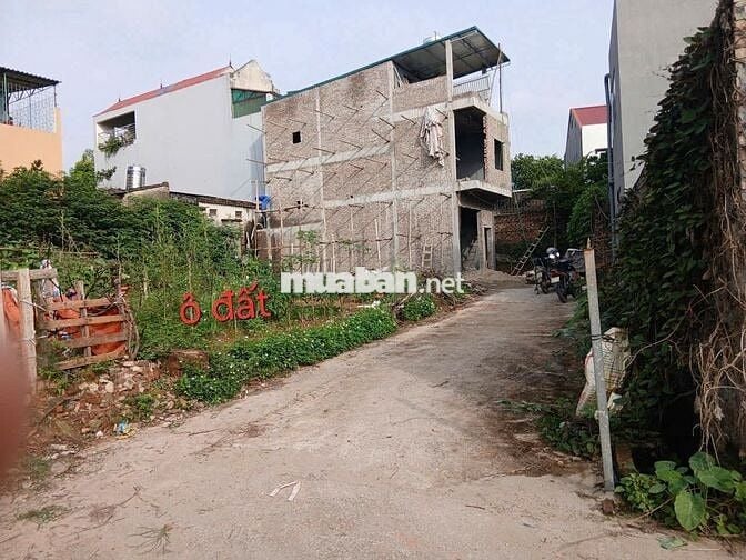 85m đất trung tâm Xuân Hòa, Phúc Yên, Vĩnh Phúc