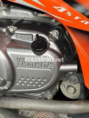 xe zin cọp hàng hiếm có 102