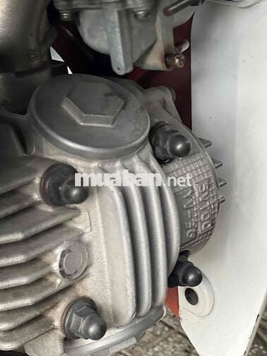 xe zin cọp hàng hiếm có 102