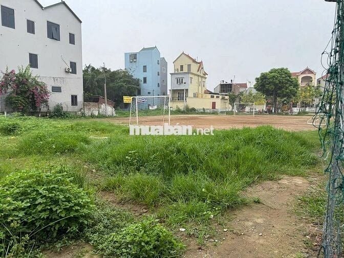 Chính chủ bán đất đấu giá Hoài Đức