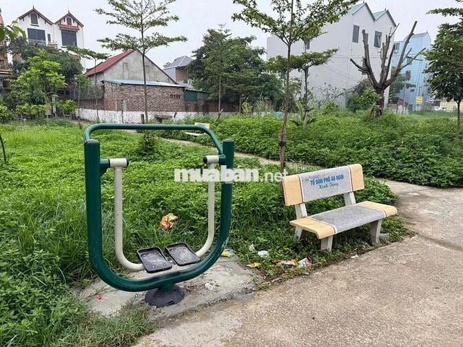 Chính chủ bán đất đấu giá Hoài Đức