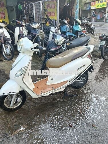 SYM Elizabeth Trắng