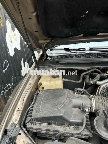 ford ranger limited 2021 cọp