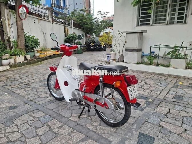 Xe Honda cup đê đê bstp