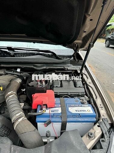 ford ranger limited 2021 cọp