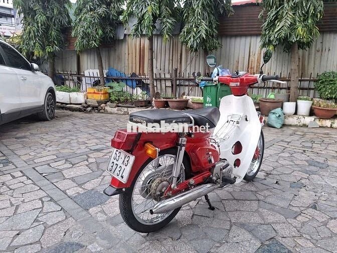 Xe Honda cup đê đê bstp