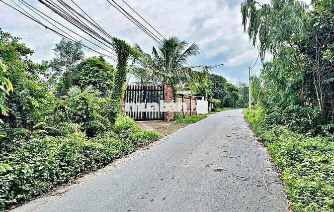 SIÊU PHẨM ĐẤT VIEW NÚI THỊ VẢI - PHÚ MỸ