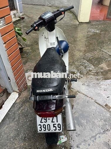 cần bán dream thái