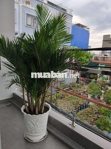 BÁN NHÀ (CCVB) MỚI ĐƯỜNG SỐ 49 HBC THỦ ĐỨC CŨ GẦN GIGAMAL