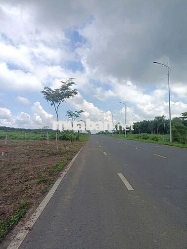 ANH 8 CẦN SANG GẤP 4 MIẾNG ĐẤT TRÊN MẶT TIỀN ĐƯỜNG HUYỆN 32M