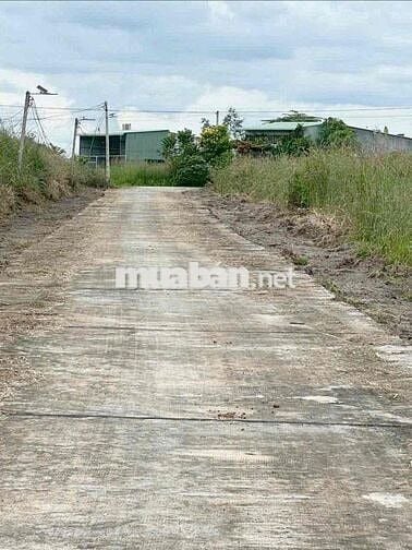 Ngân hàng thanh lý 2500m2 đất kế KCN Minh Hưng chỉ 300tr