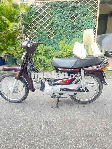 dream 50cc chạy ko cần bằng lái máy êm zin áo đẹp