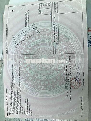 Đất nông nghiệp mặt tiền ngã 3, gần QL 20 Định quán, Giá rẻ