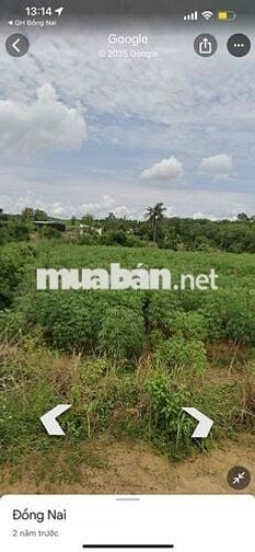 Đất nông nghiệp mặt tiền ngã 3, gần QL 20 Định quán, Giá rẻ