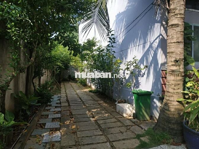 Phòng trọ chothuê Cù Lao Phố, Hiệp Hòa 25m2 Đặng Văn Trơn View SânVườn