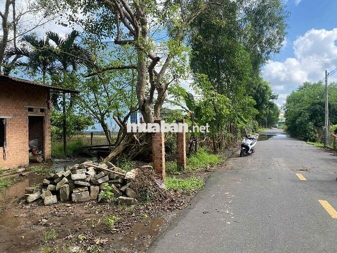 Đất sổ hồng 2300m2 ngay Tỉnh lộ 328 mới  Xã Hồ Tràm TPHCM