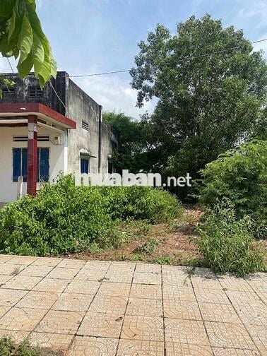 Đất sổ hồng 2300m2 ngay Tỉnh lộ 328 mới  Xã Hồ Tràm TPHCM