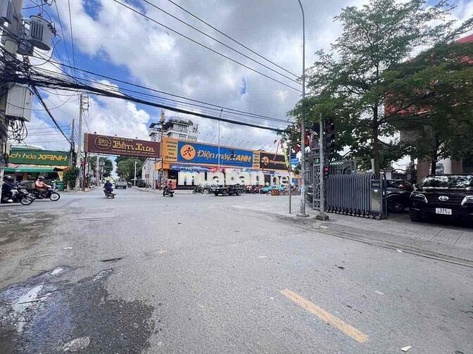 🌾 Nhanh Thì Còn Hàng Hiếm Cầu An Lộc, Gò vấp