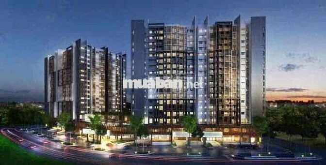 bán căn amber court sang tên liền tay trong ngày