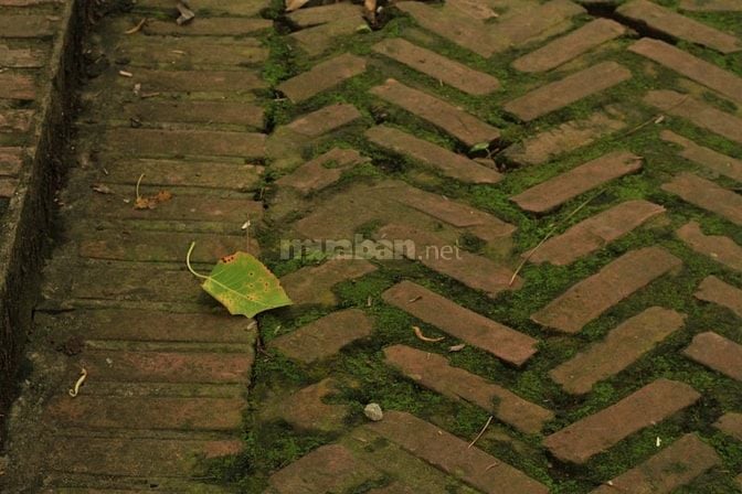 tìm bạn làm quen quanh Hà nội.