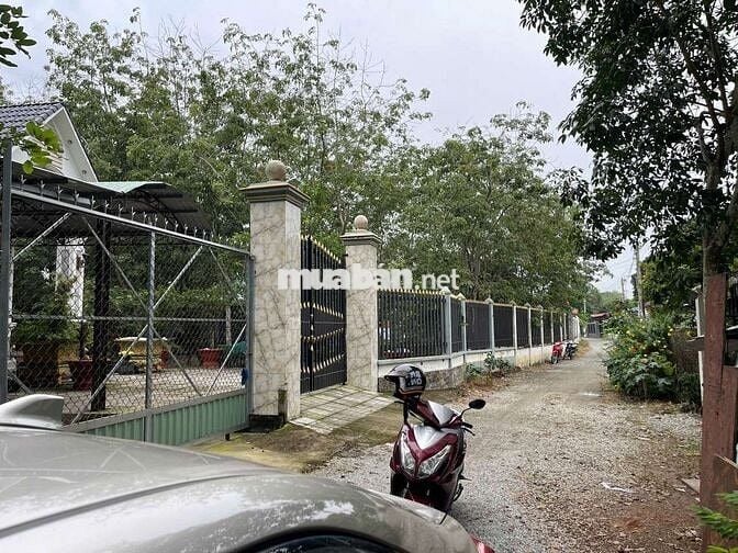 BÁN ĐẤT PHƯỜNG HOÀ LỢI 8x22 CHỈ 1TỶ4xx CÓ HỖ BANK