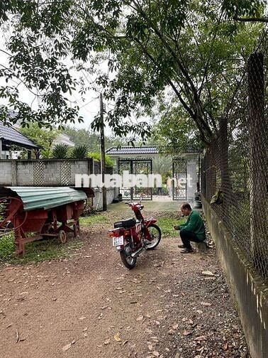 BÁN ĐẤT PHƯỜNG HOÀ LỢI 8x22 CHỈ 1TỶ4xx CÓ HỖ BANK