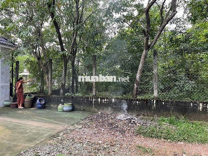 BÁN ĐẤT PHƯỜNG HOÀ LỢI 8x22 CHỈ 1TỶ4xx CÓ HỖ BANK