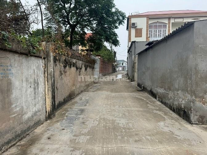 Bán Đất Thổ Cư Xã Đức Giang và Xã Tư Mại Cạnh Khu Công Nghiệp