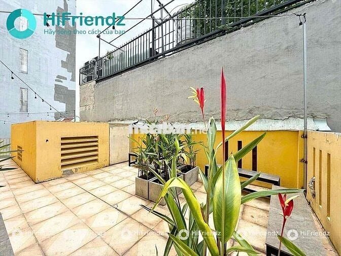 KHAI TRƯƠNG CHO THUÊ PHÒNG TRỌ DUPLEX GÁC RỘNG RÃI THANG MÁY