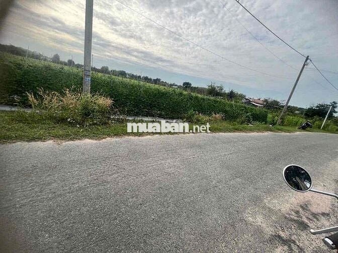 🌾🔥 CHÍNH CHỦ CẦN BÁN GẤP LÔ ĐẤT ĐẸP – XÃ THÁI MỸ, HUYỆN CỦ CHI 🔥🌾