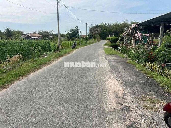 🌾🔥 CHÍNH CHỦ CẦN BÁN GẤP LÔ ĐẤT ĐẸP – XÃ THÁI MỸ, HUYỆN CỦ CHI 🔥🌾