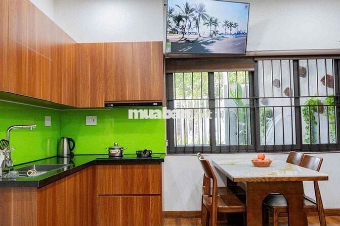 Cho thuê căn hộ 1 phòng ngủ mới keng ngay Nam Việt Á- Có Hồ Bơi