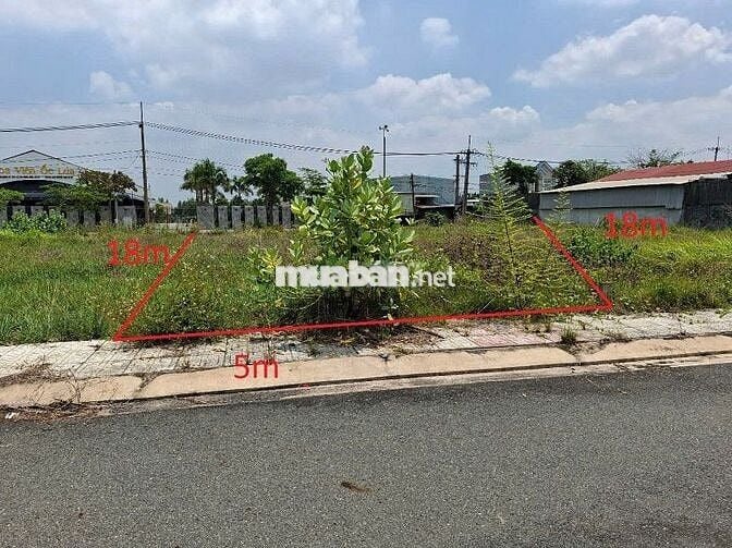 5x18 giá 1,5 tỷ Sổ Riêng Mặt Tiền 107 Tân Thạnh Đông, Ngay chợ Sáng