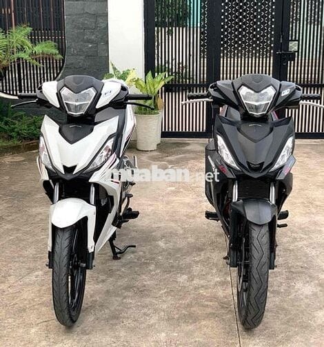 Bán Winner Zin đủ màu