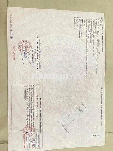 hàng biển tân trà khu hoà hải cần thanh khoản gấp