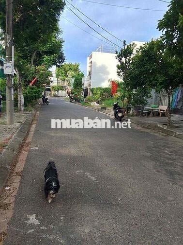 hàng biển tân trà khu hoà hải cần thanh khoản gấp