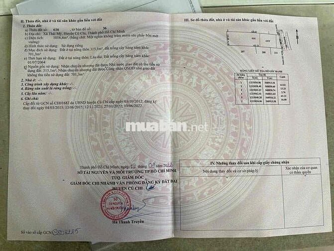 🌾🔥 CHÍNH CHỦ CẦN BÁN GẤP LÔ ĐẤT ĐẸP – XÃ THÁI MỸ, HUYỆN CỦ CHI 🔥🌾