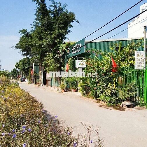 Bán đất sổ đỏ chính chủ 232,8m2, mặt đê xã Đông Anh, Hà Nội