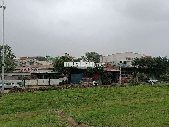 Bán đất sổ đỏ chính chủ 232,8m2, mặt đê xã Đông Anh, Hà Nội