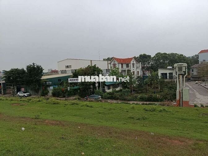 Bán đất sổ đỏ chính chủ 232,8m2, mặt đê xã Đông Anh, Hà Nội