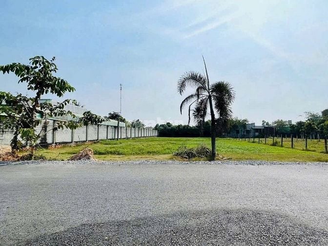 Đất xây nhà vườn thổ cư 500m2, SHR, Phước Hiệp, QL22 vào 300m, 520tr