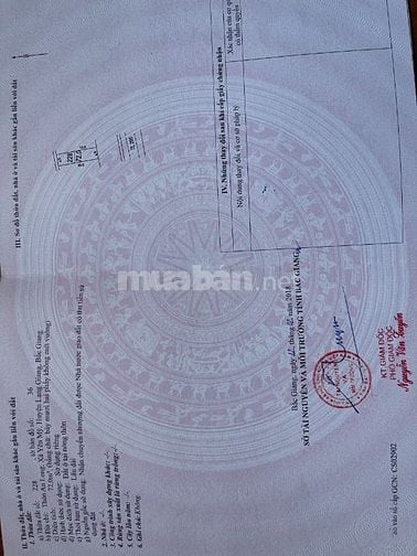 CHÍNH CHỦ BÁN 2 LÔ ĐẤT THỔ CƯ LIỀN NHAU MẶT TIỀN 9M 