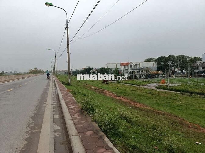 Bán đất sổ đỏ chính chủ 232,8m2, mặt đê xã Đông Anh, Hà Nội