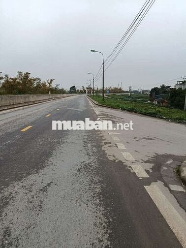 Bán đất sổ đỏ chính chủ 232,8m2, mặt đê xã Đông Anh, Hà Nội