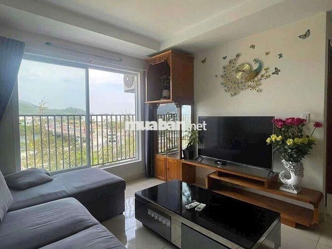 DT Cho thuê chung cư CT3 VCN Phước Hải