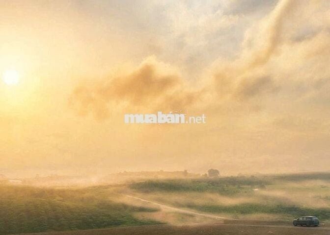 Đất nghĩ dưỡng 1000m2 sổ sẵn thổ cư giá chỉ 630 triệu ven Đà Lạt