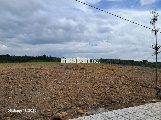 Đất nghĩ dưỡng 1000m2 sổ sẵn thổ cư giá chỉ 630 triệu ven Đà Lạt