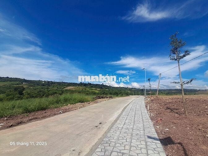 Đất nghĩ dưỡng 1000m2 sổ sẵn thổ cư giá chỉ 630 triệu ven Đà Lạt